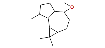 Aromadendrene oxide-1